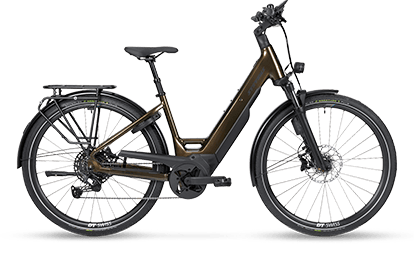 E-Triton 8.8.1 Plus Forma